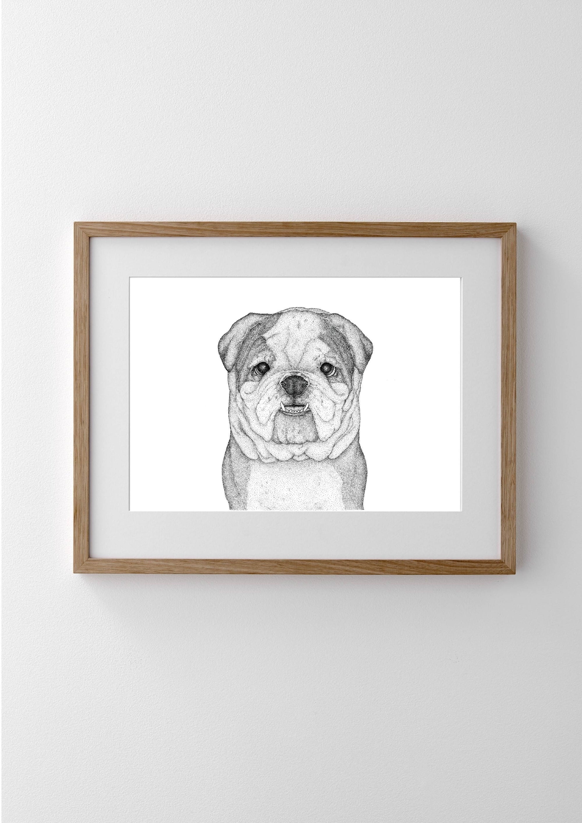 Beau the British Bulldog- Full Face