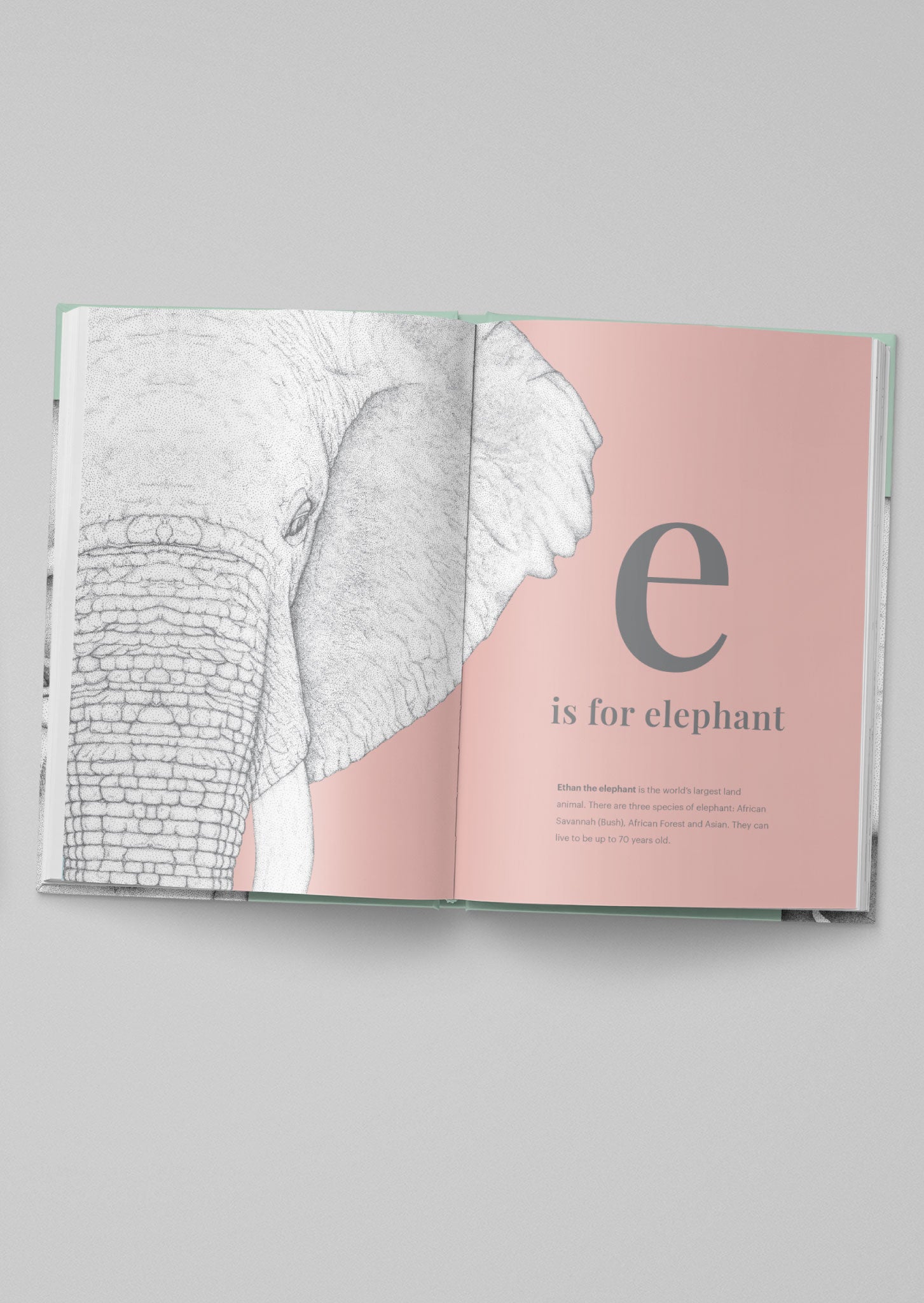 DOTS BY DONNA: THE ANIMAL ALPHABET BOOK