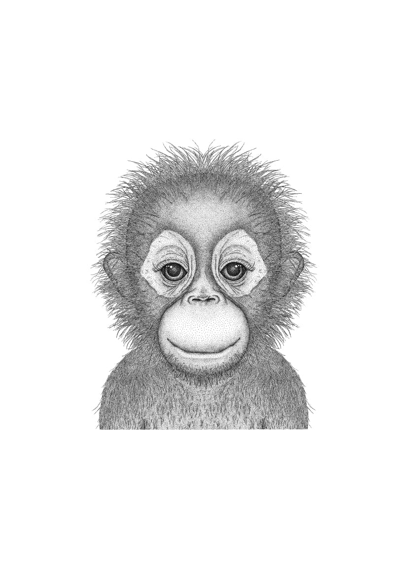 Ollie the Orangutan - Full Face