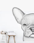 Freddie the Frenchie Removable Wall Decal