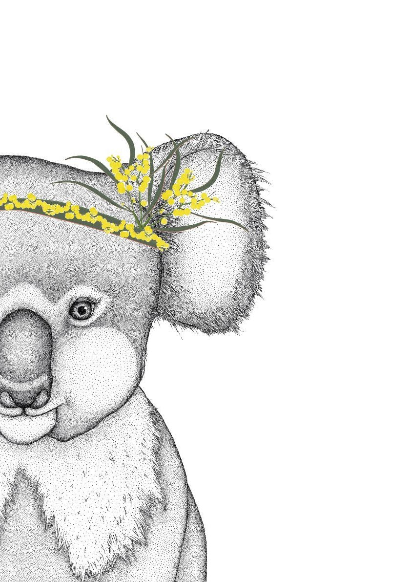 Kerry the Koala with Wattle- BUSHFIRE APPEAL