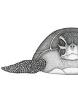 Susan the Sea Turtle