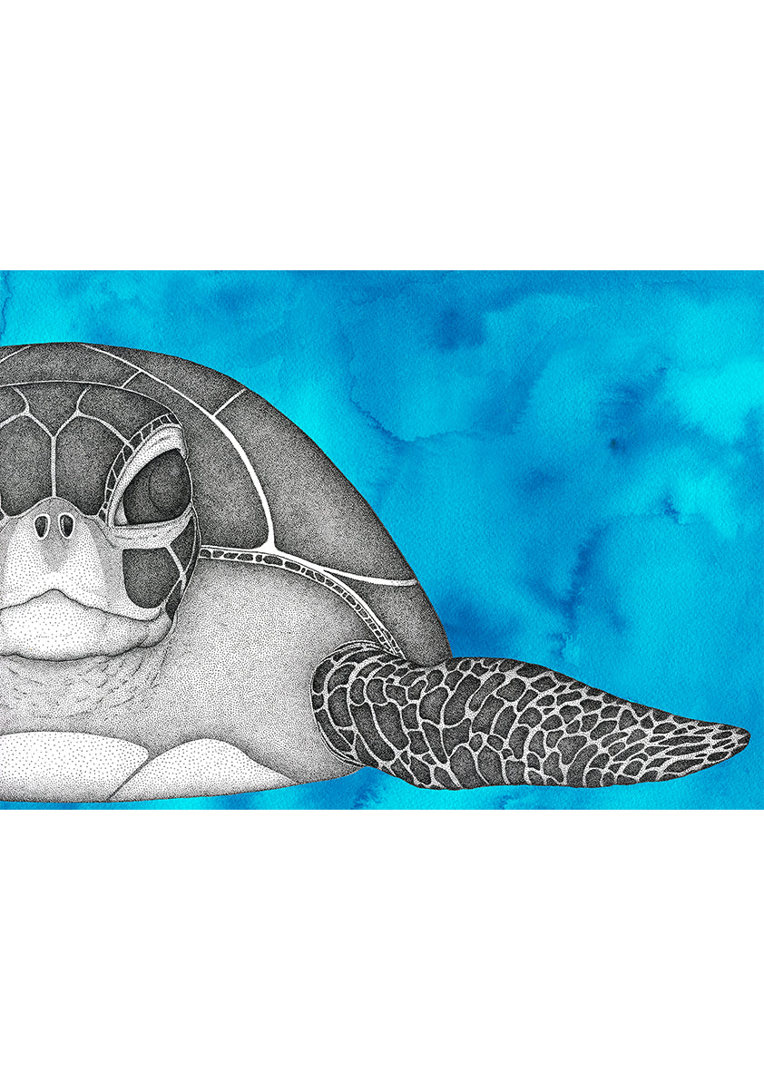 Susan the Sea Turtle with Watercolour