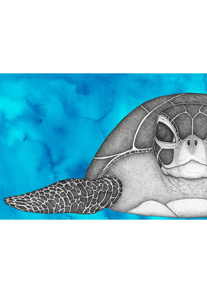 Susan the Sea Turtle with Watercolour